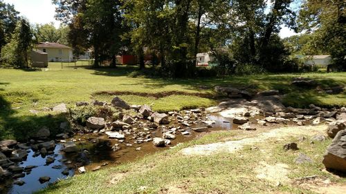 Scenic view of grassy landscape