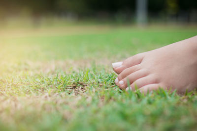 Close-up of hand on grass