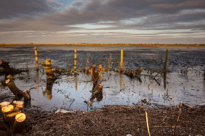 Wooden posts on beach against sky during sunset