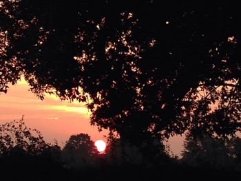 Silhouette trees against sky