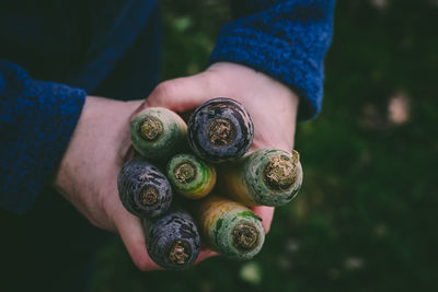 Cropped hands holding vegetables