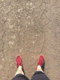 Low section of man standing on ground