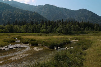 Scenic view of alpine landscape in the bavarian alps