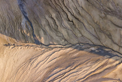 Full frame shot of tree trunk