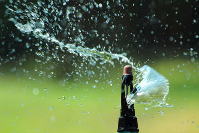 Close-up of sprinkler spraying water at lawn