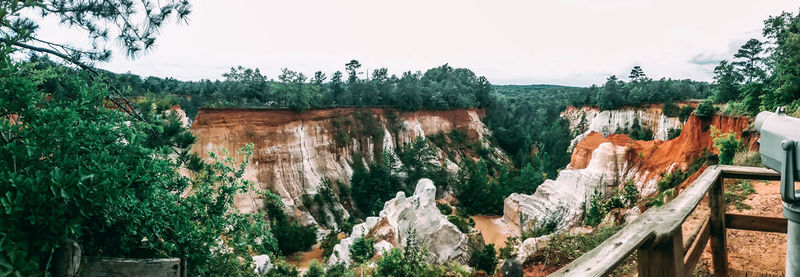 Panoramic view of trees against sky
