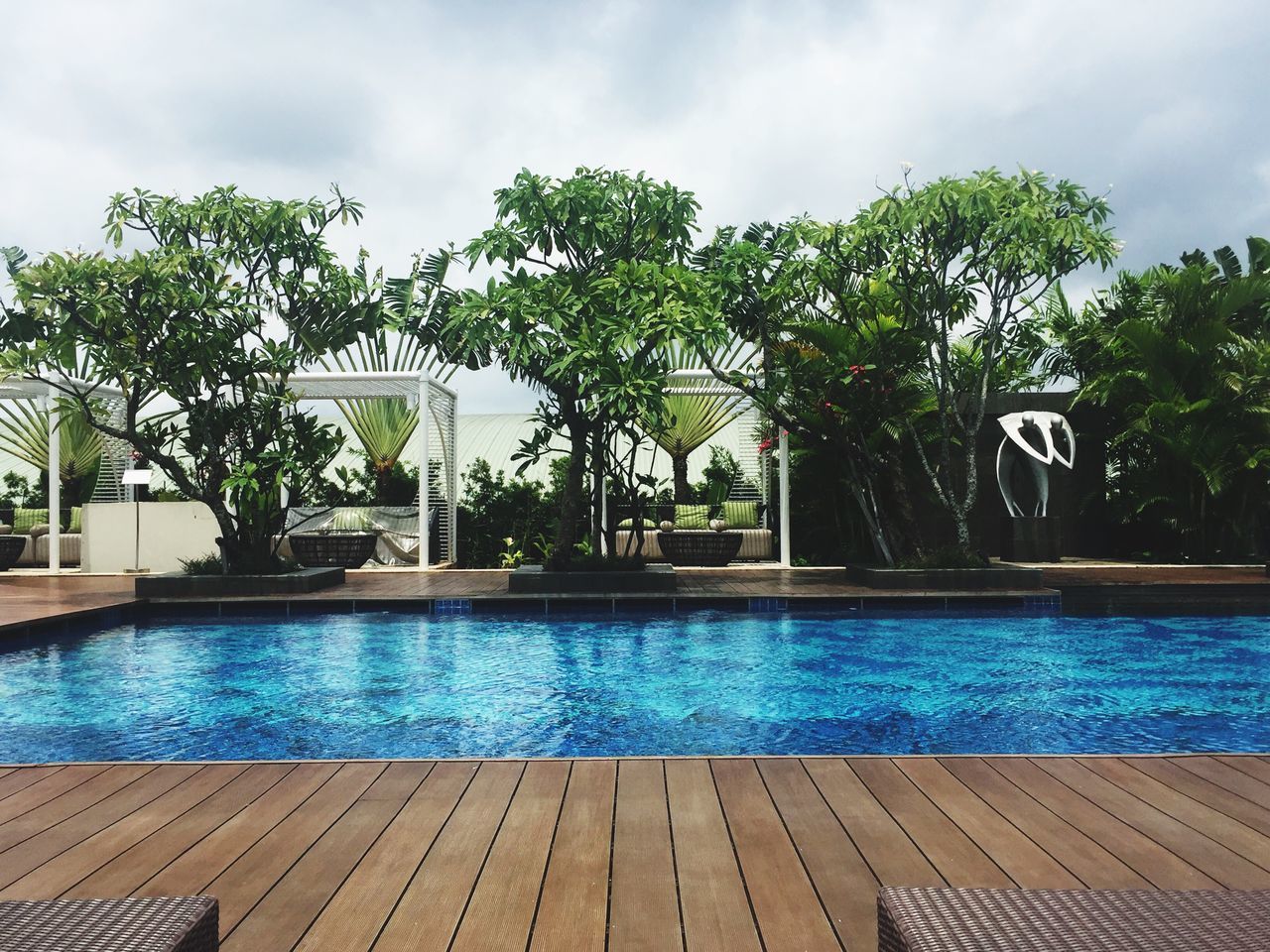 SWIMMING POOL WITH TREES IN BACKGROUND