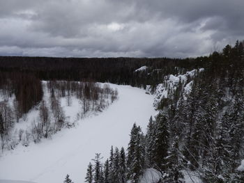 Trees on snow covered land against sky