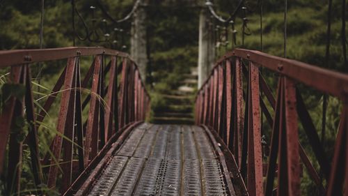 View of footbridge in forest