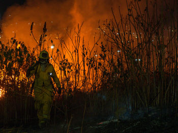 wildfire