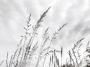 Low angle view of cloudy sky