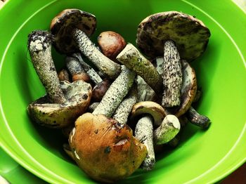 High angle view of mushrooms in bowl