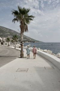 Rear view of man on palm tree at beach