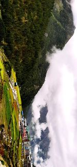 People on mountain by trees against mountains