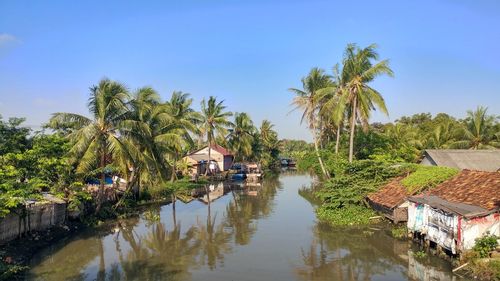 Canal amidst palm trees and houses against sky