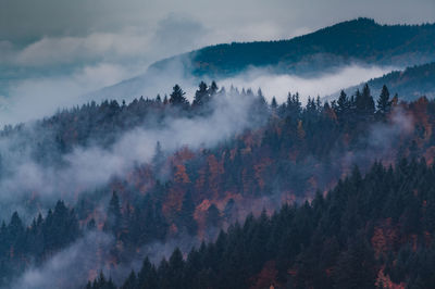 Panoramic view of trees and mountains against sky