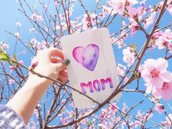 Cropped hand of woman holding paper with mom text by cherry tree during sunny day