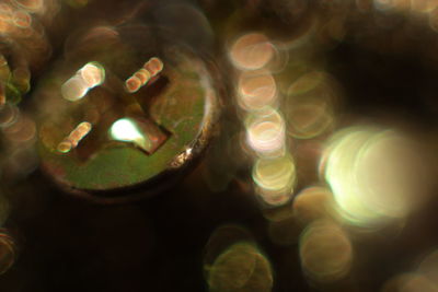 Close-up of illuminated candles