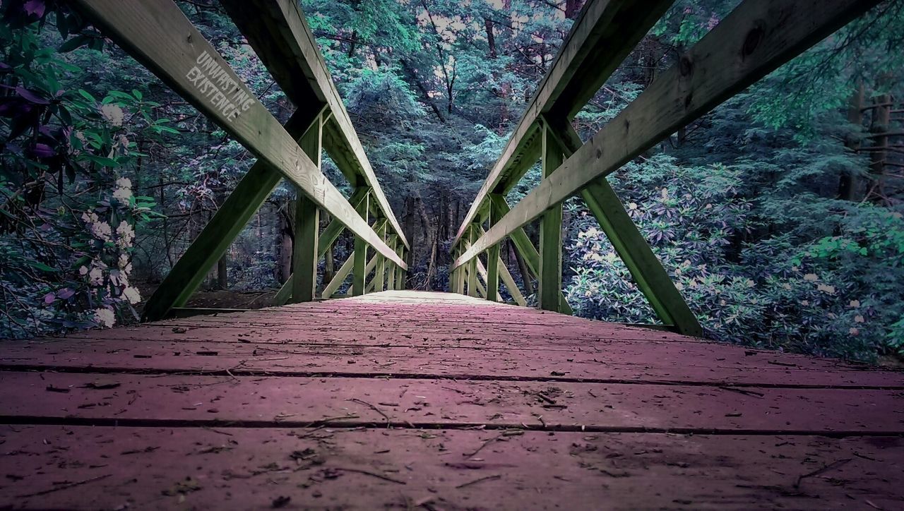 the way forward, tree, railing, footbridge, wood - material, built structure, forest, bridge - man made structure, tranquility, nature, connection, boardwalk, plant, diminishing perspective, growth, sunlight, no people, day, architecture, water