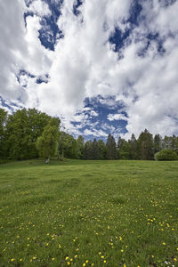 Scenic view of field against sky