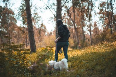 Rear view of man with dog walking in forest