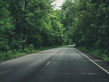 Road amidst trees in forest