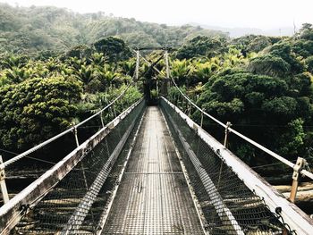 View of footbridge amidst plants