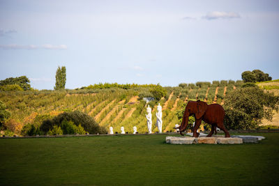 View of horse on field against sky