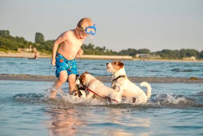 Shirtless boy with dogs in sea