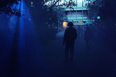 Rear view of people walking on illuminated street at night