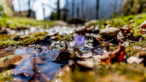 Close-up of water