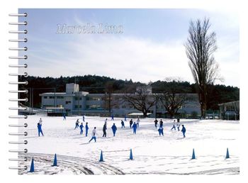 Bare trees on snow covered landscape