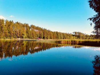 Scenic view of lake in forest against clear blue sky