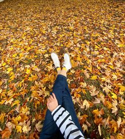 Low section of person standing on maple leaves