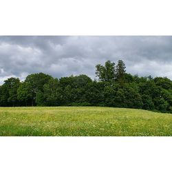 Scenic view of grassy field against cloudy sky