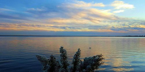 Scenic view of sea at sunset