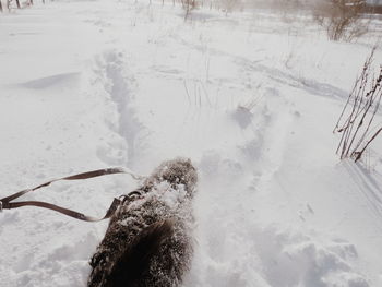 High angle view of frozen water