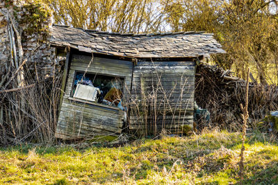 House amidst trees and plants on field