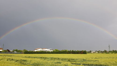 Scenic view of rainbow over field