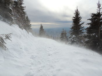 Snow covered land and trees against sky