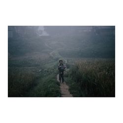 Rear view of a man walking on landscape