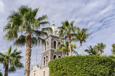 Low angle view of palm tree by building against sky