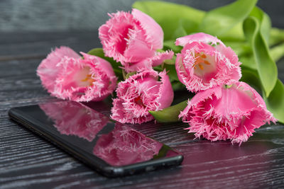 Close-up of pink flowers on table