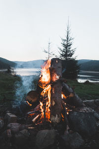 Bonfire on wooden log against sky