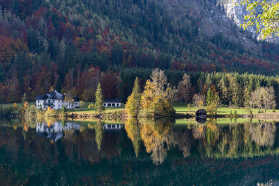 Scenic view of lake in forest during autumn