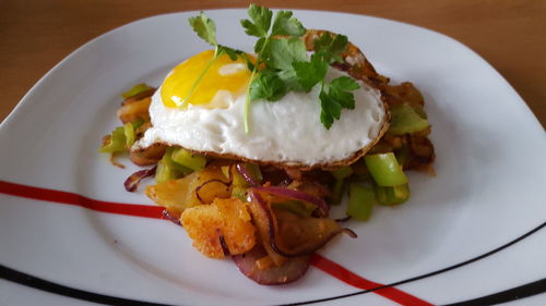 High angle view of meal served in plate