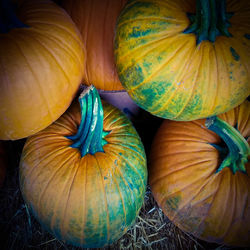 Full frame shot of pumpkins