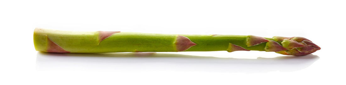 Close-up of banana against white background