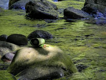 Religious offering on rock in lake