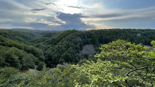 nature